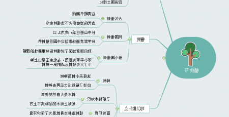 植树节思维导图