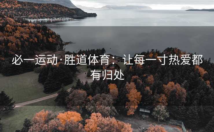必一运动·胜道体育：让每一寸热爱都有归处