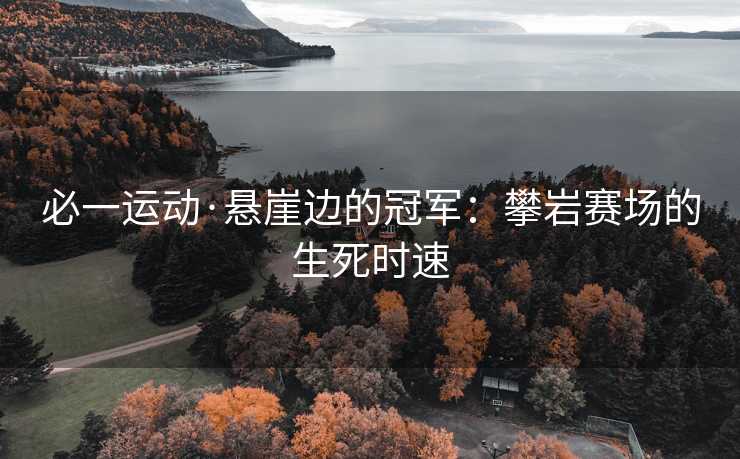 必一运动·悬崖边的冠军：攀岩赛场的生死时速