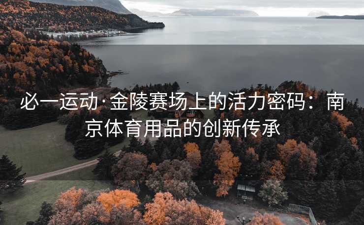 必一运动·金陵赛场上的活力密码：南京体育用品的创新传承