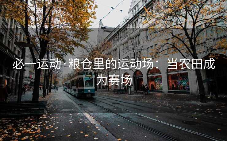 必一运动·粮仓里的运动场：当农田成为赛场